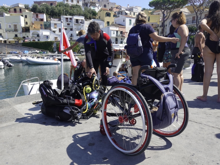 disabili punta campanella
