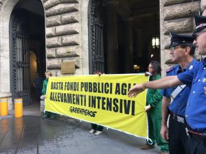 greenpeace