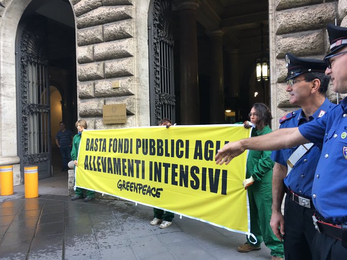 greenpeace