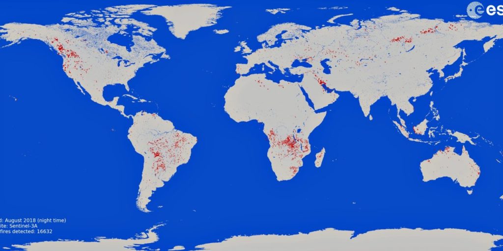 incendi amazzonia