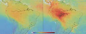 incendi amazzonia