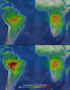 incendi amazzonia