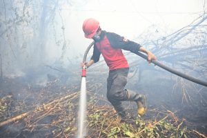 Emergenza incendi in Indonesia