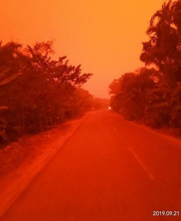incendi indonesia cielo rosso