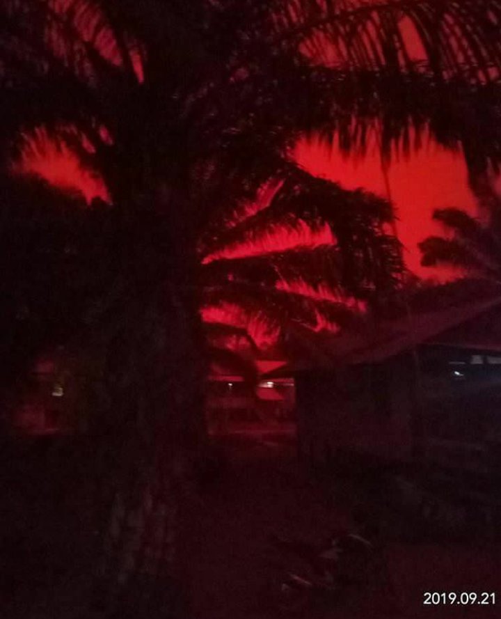 incendi indonesia cielo rosso