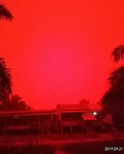 incendi indonesia cielo rosso