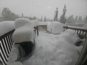 neve canada