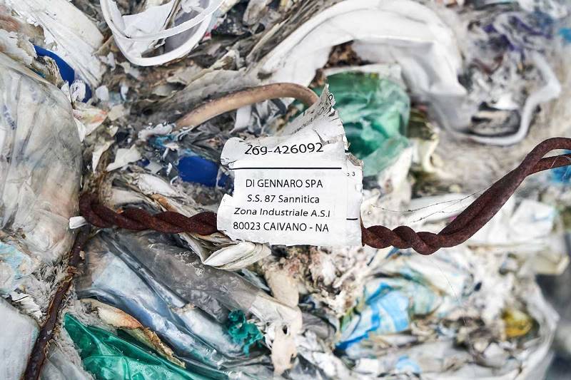 greenpeace