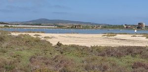 Le Saline di Stintino