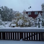 Meteo, in Europa è già Inverno: bufere di neve in Norvegia, gran freddo in arrivo a Londra, Parigi, Berlino e Varsavia [FOTO e VIDEO]