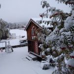 Meteo, in Europa è già Inverno: bufere di neve in Norvegia, gran freddo in arrivo a Londra, Parigi, Berlino e Varsavia [FOTO e VIDEO]