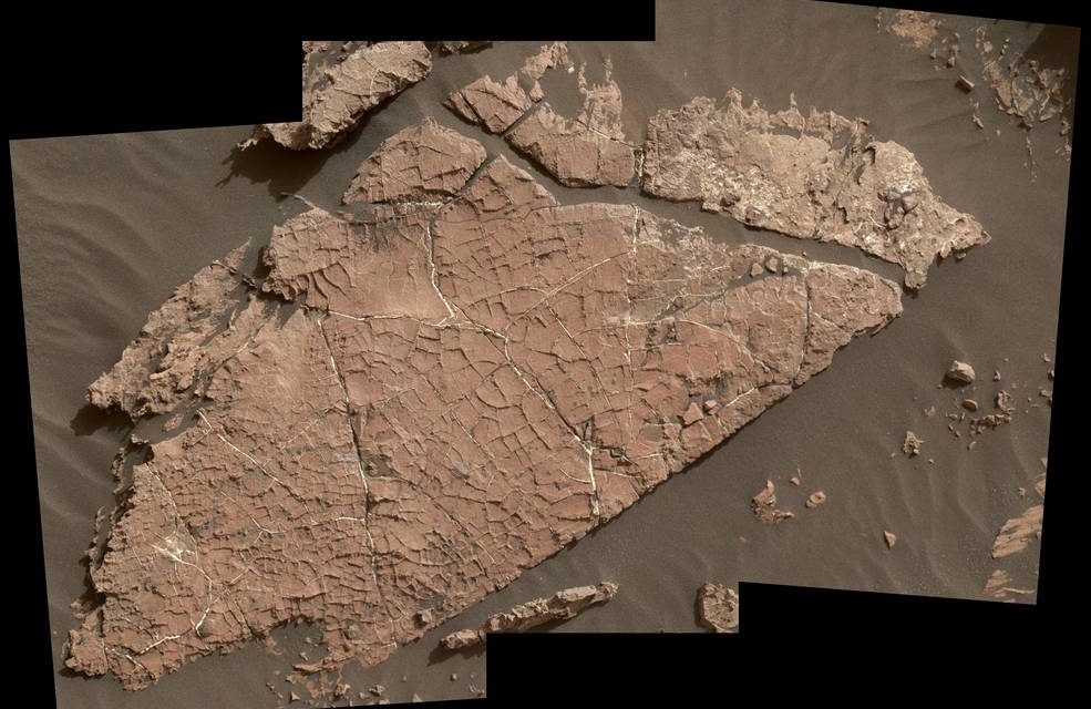 curiosity oasi marte