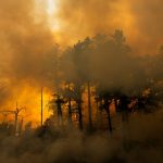 Emergenza incendi in California: oltre 90mila evacuati a Sonoma, vasti blackout nel nord [FOTO]