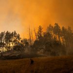 Emergenza incendi in California: oltre 90mila evacuati a Sonoma, vasti blackout nel nord [FOTO]
