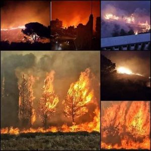 incendi libano
