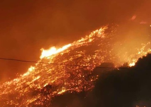 incendio arborea