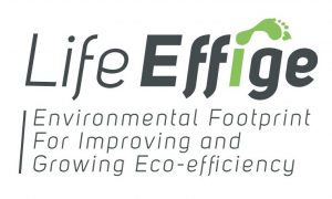 life effige