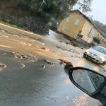 Maltempo in Liguria: allagamenti e alberi caduti, viabilità autostradale e ferroviaria in tilt [FOTO e VIDEO]