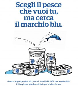marchio blu