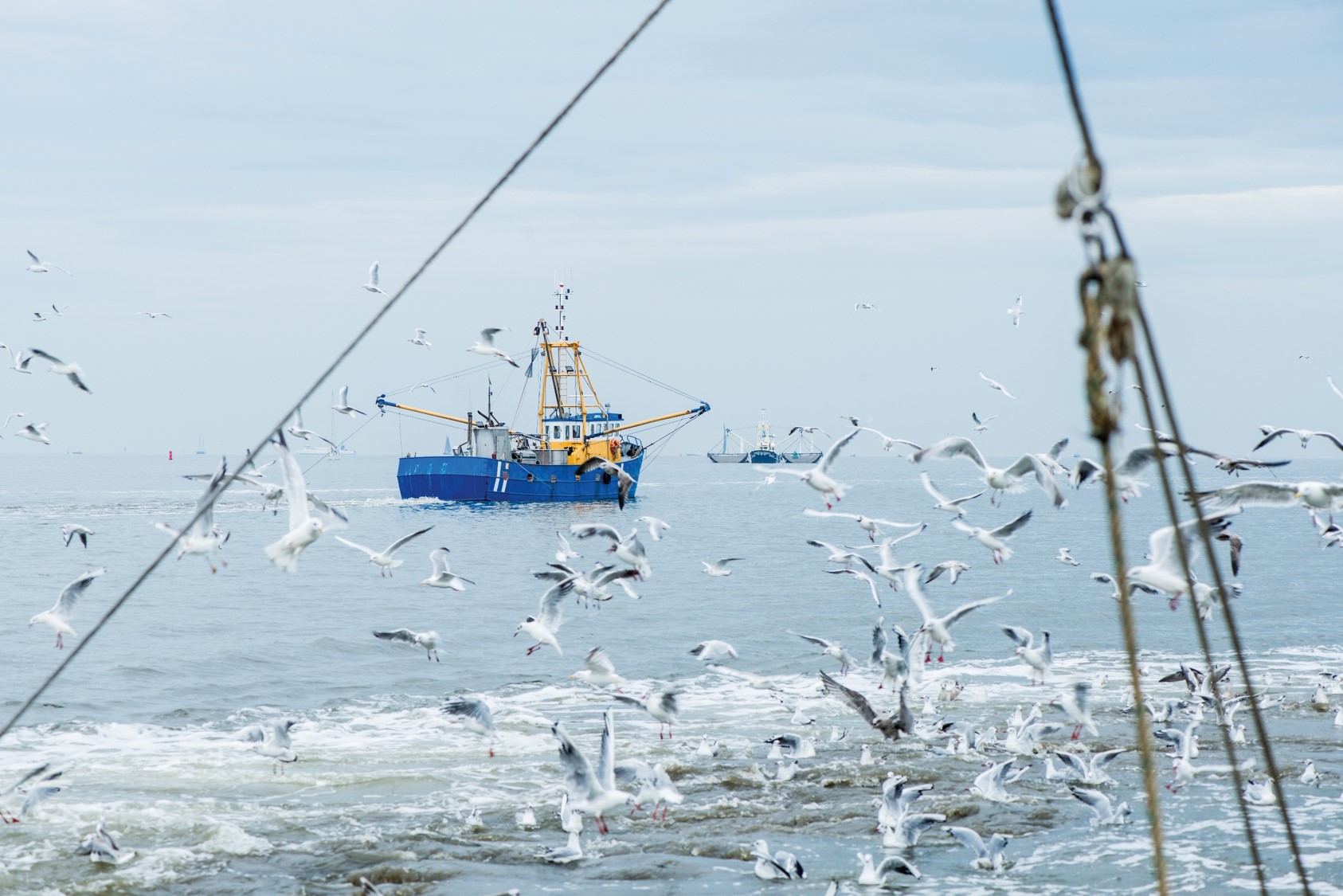 pesca sostenibile