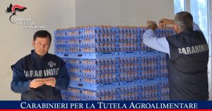 sequestro uova messina