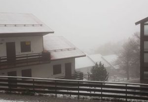 Doganaccia