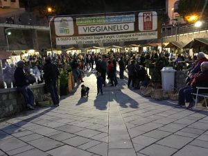 Viggianello