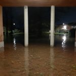 Notte drammatica a Venezia: acqua alta record, danni alla Basilica di San Marco e 2 morti [FOTO e VIDEO]