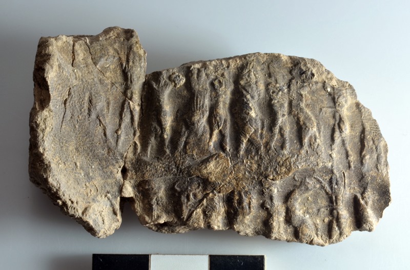 archeologia Mesopotamia buste lettere