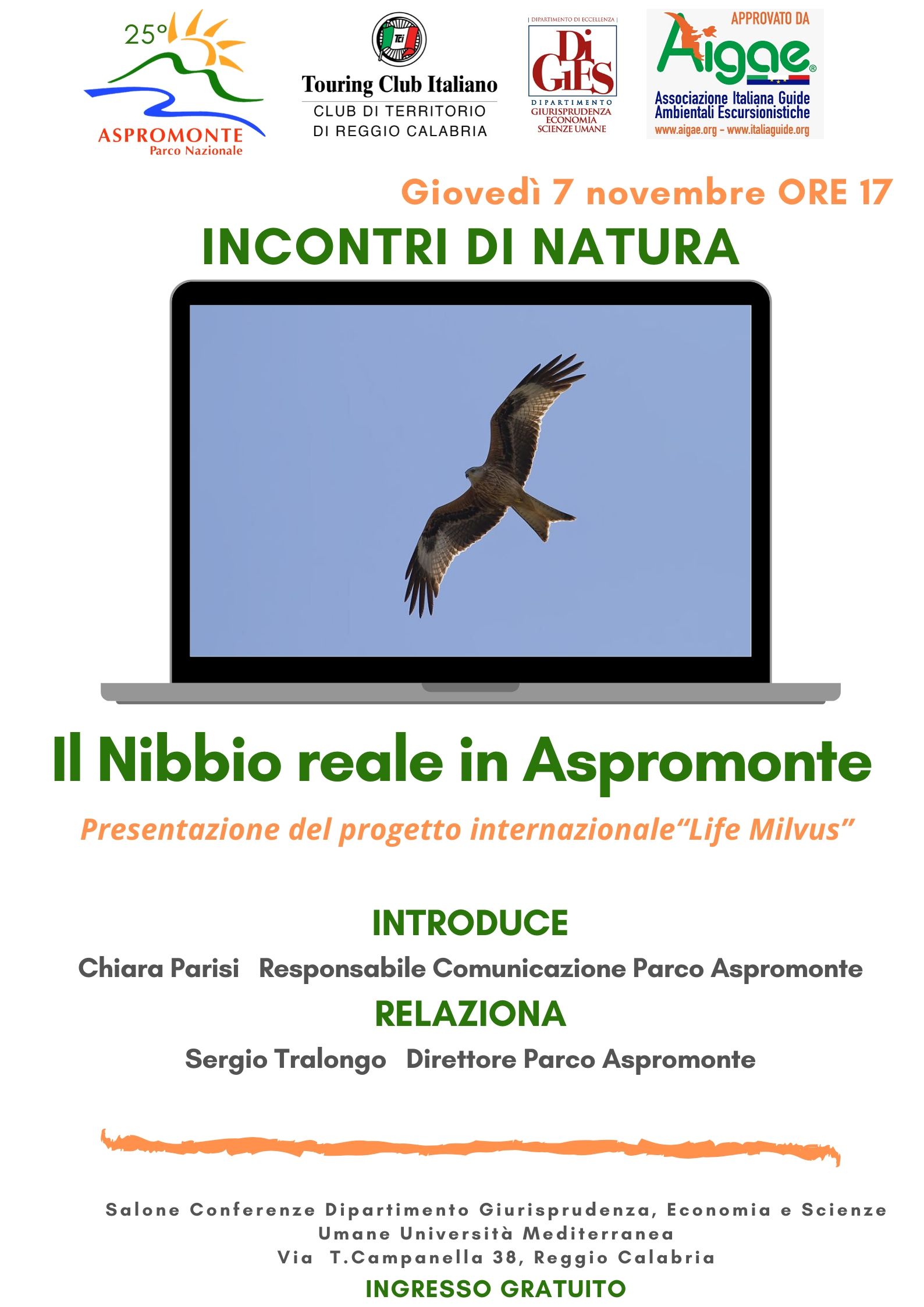 aspromonte nibbio reale