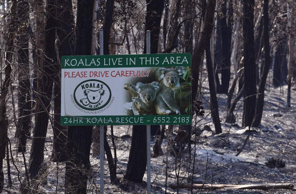 Australia in fiamme