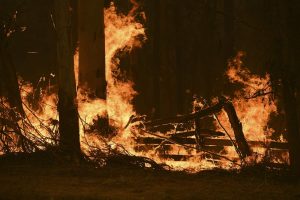 incendi australia