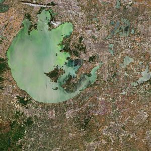 lago tai