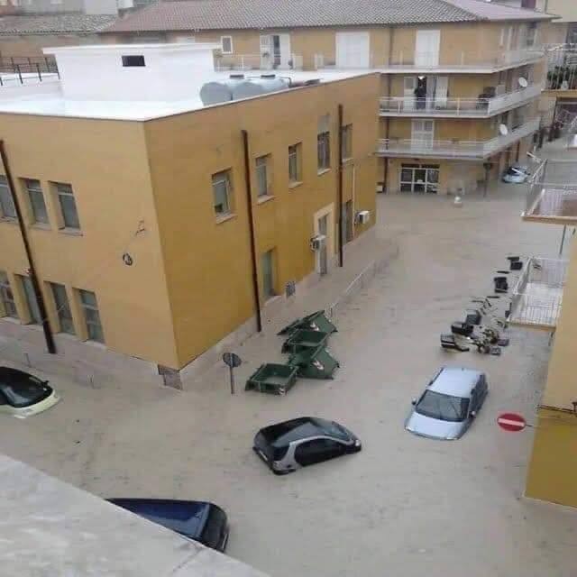 licata