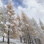 Freddo e Maltempo, sulle Alpi la prima neve della stagione: scenario da fiaba [FOTO e VIDEO]