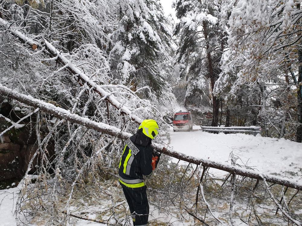 neve dolomiti alto adige 12 novembre 2019