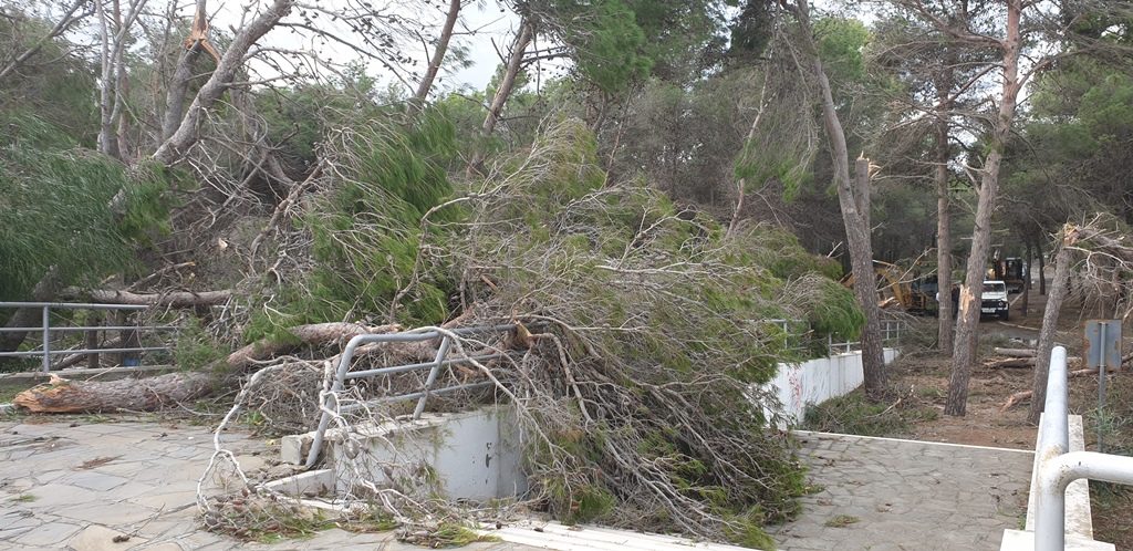 policoro danni tromba d'aria ciclone mediterraneo 12 novembre 2019