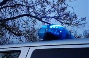 polizia tedesca