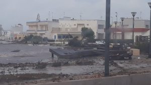 porto cesareo