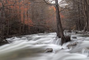 Aspromonte Autunno sul Menta