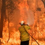Emergenza incendi in Australia: la popolazione di Sydney è soffocata dal fumo, “scene apocalittiche” [FOTO]