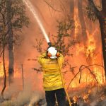 Emergenza incendi in Australia: la popolazione di Sydney è soffocata dal fumo, “scene apocalittiche” [FOTO]