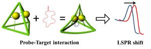 Origami di DNA per diagnosi non invasive