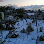 Freddo e maltempo, Domenica polare in tutt’Italia: gelo al Nord, neve a bassa quota al Sud – FOTO e DATI LIVE