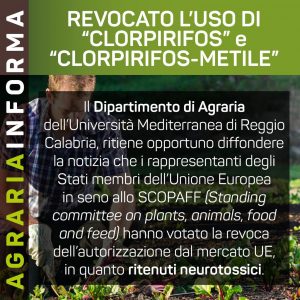 Revocatouso clorpirifos clorpirifos metile