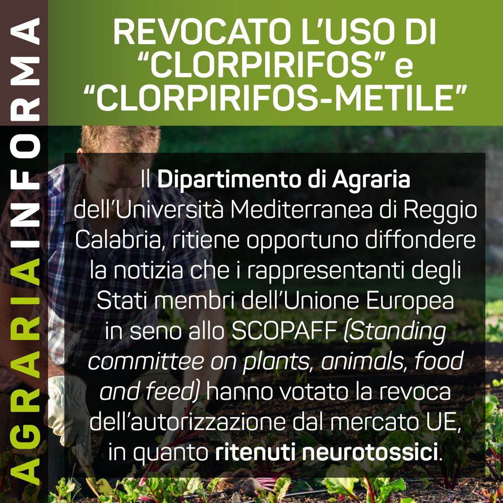 Revocatouso clorpirifos clorpirifos metile