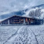 Maltempo, fitte nevicate al Nord Italia: fiocchi in pianura in Veneto, imbiancate Valtellina e Valchiavenna [FOTO]