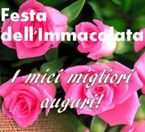 auguri immacolata concezione immagini video frasi