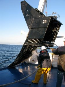 biodiversità mediterraneo