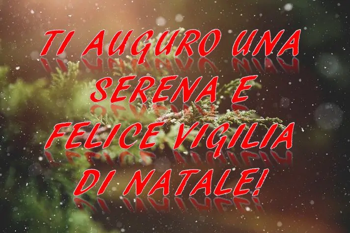 Auguri di Buona Vigilia di Natale, Buone Feste! Le più belle IMMAGINI